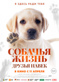 Собачья жизнь: Друзья навек (2023)